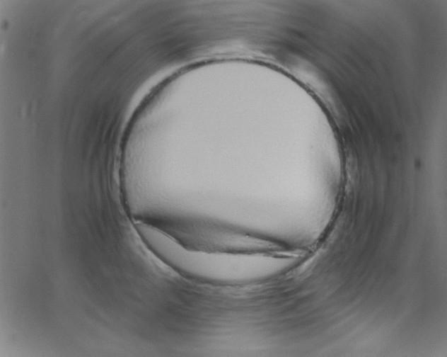 X0000067401288200604281858