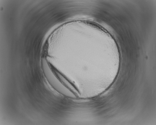 X0000067401296200604281858