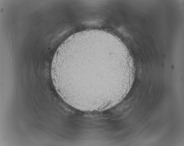 X0000067401301200604281857