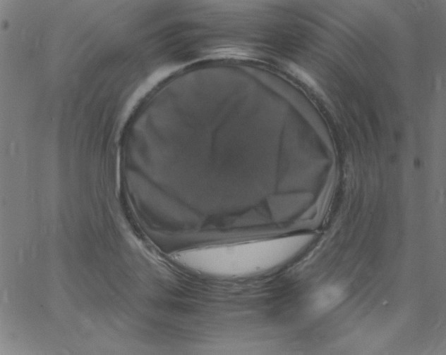 X0000067401323200604281858