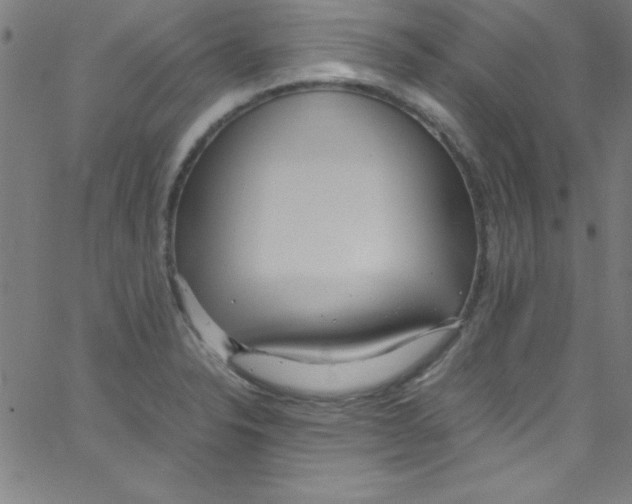 X0000067401326200604281858