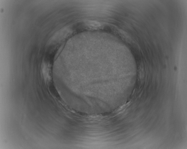 X0000067401346200604281857