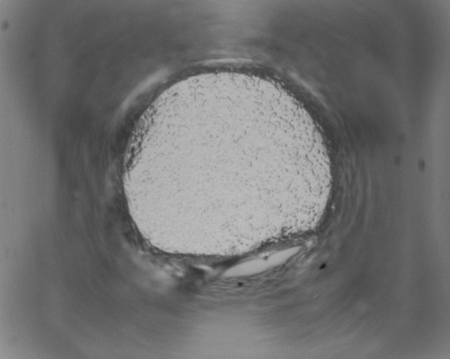 X0000067401351200604281857