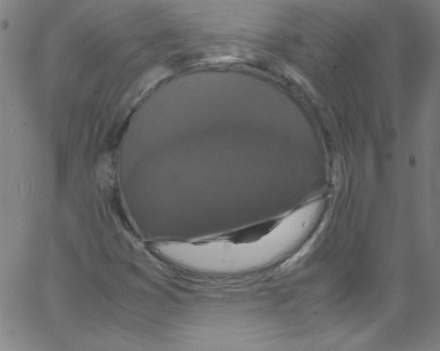 X0000067401353200604281857