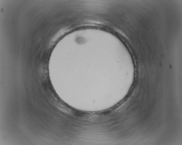 X0000067401355200604281857