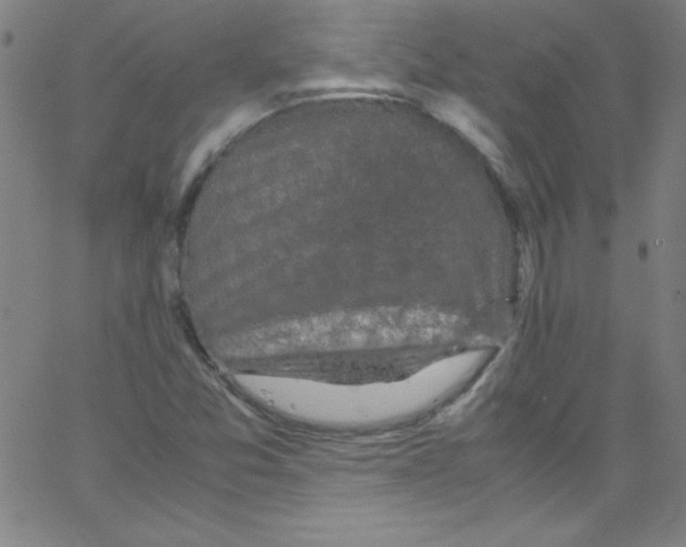 X0000067401357200604281857