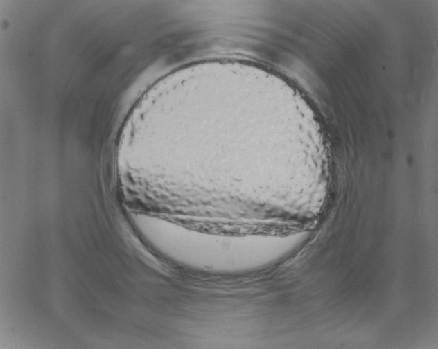 X0000067401371200604281857