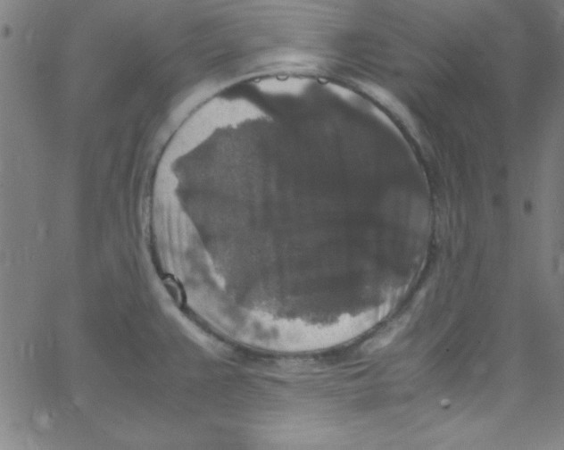 X0000067401383200604281857