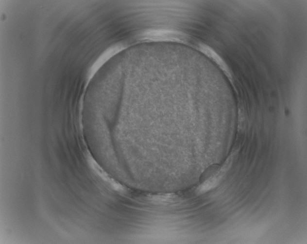 X0000067401386200604281857