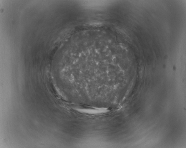 X0000067401397200604281856