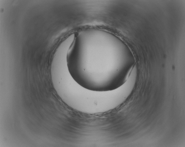 X0000067401398200604281856