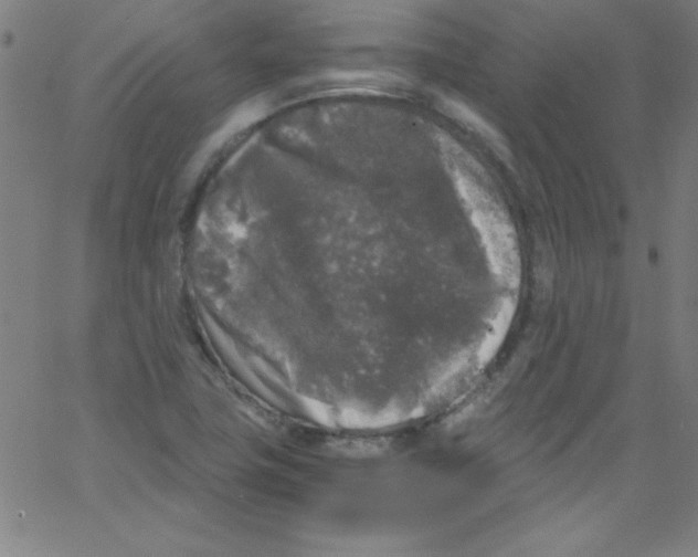 X0000067401411200604281856