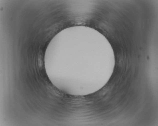 X0000067401442200604281856