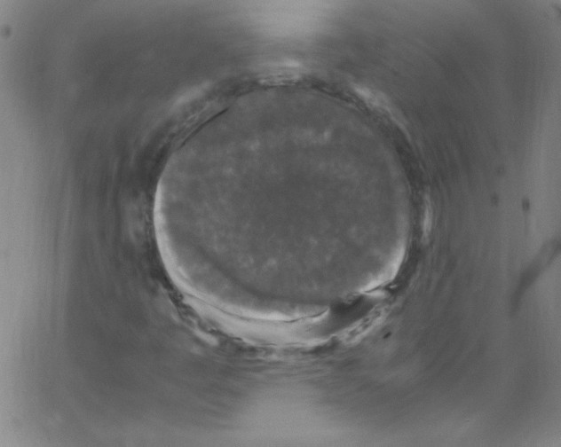X0000067401445200604281856