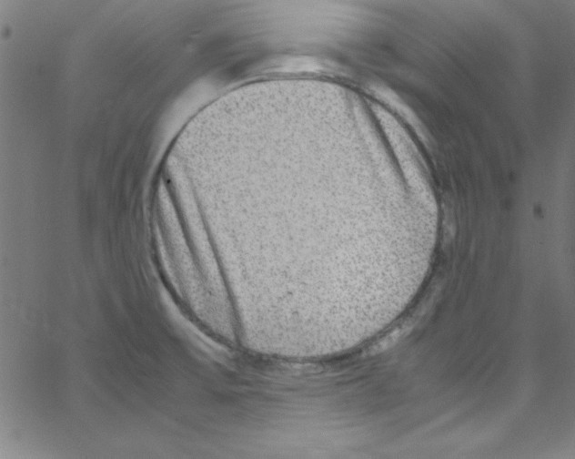 X0000067401475200604281855