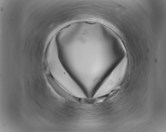 X0000067401536200604281855