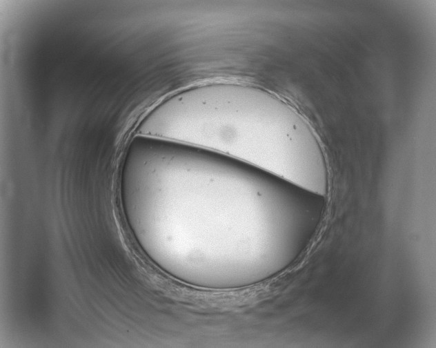 X0000067460001200604070939