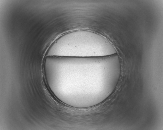 X0000067460002200604070939