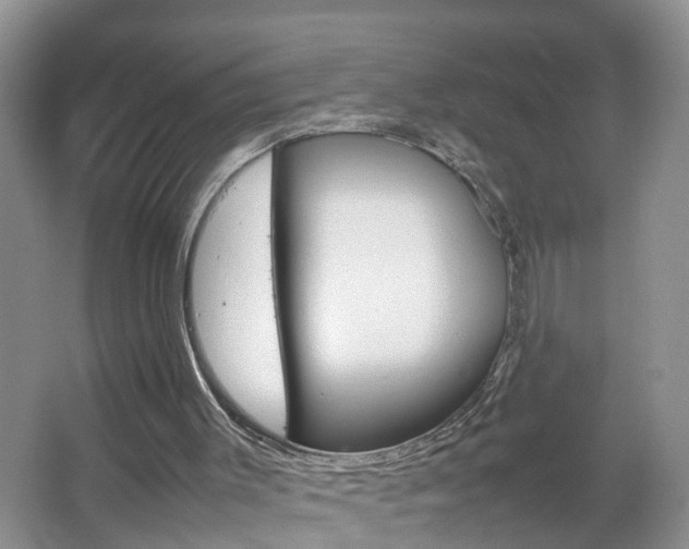 X0000067460003200604070939