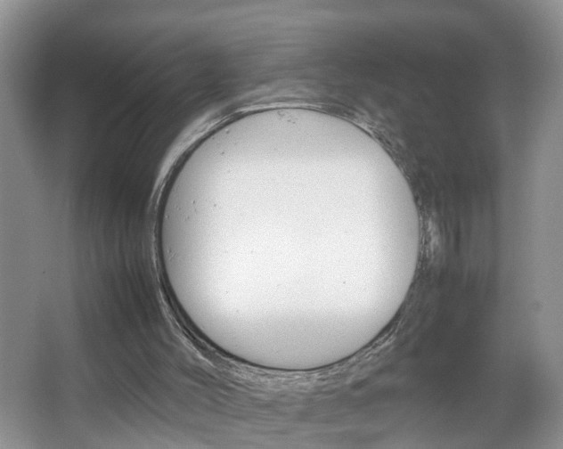 X0000067460004200604070939