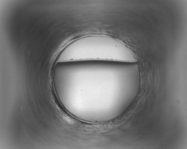 X0000067460005200604070939