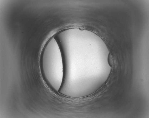 X0000067460006200604070939