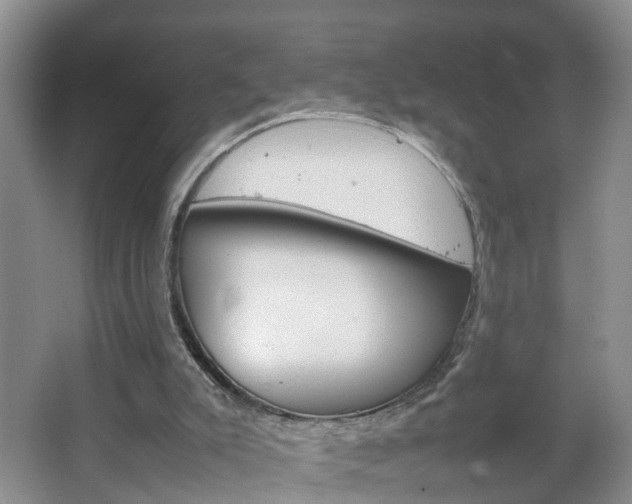 X0000067460007200604070939