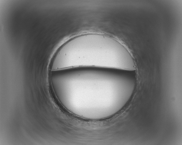 X0000067460008200604070939