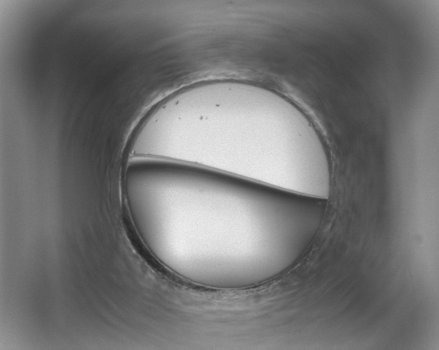 X0000067460011200604070938