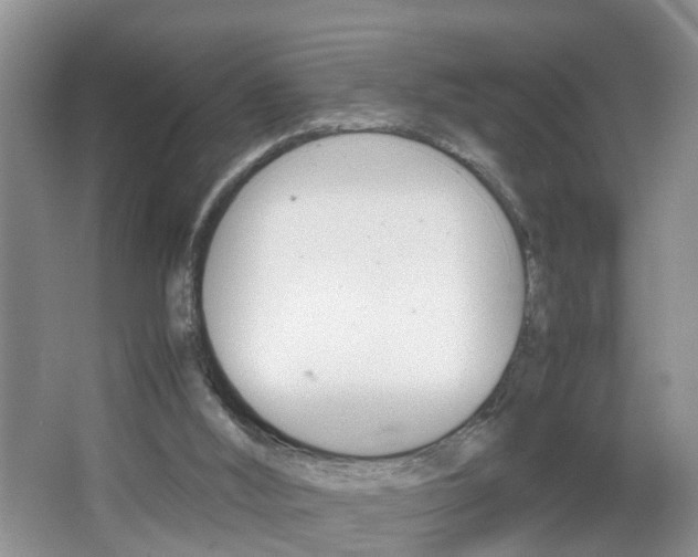 X0000067460012200604070938