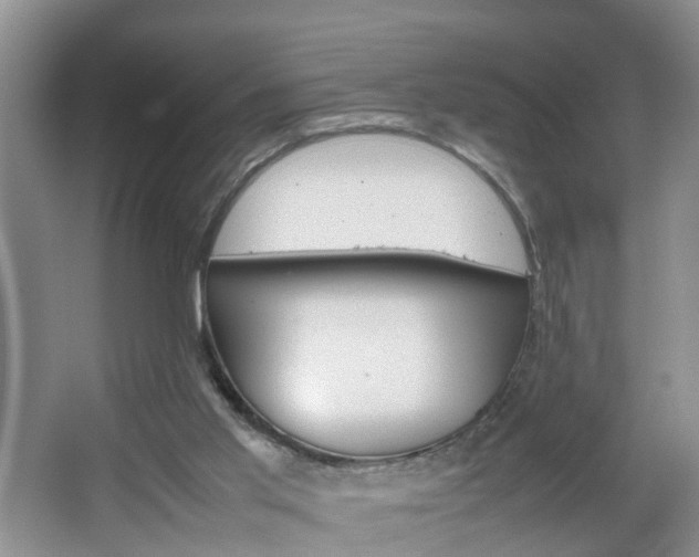 X0000067460013200604070938