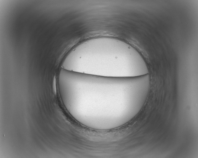 X0000067460014200604070938