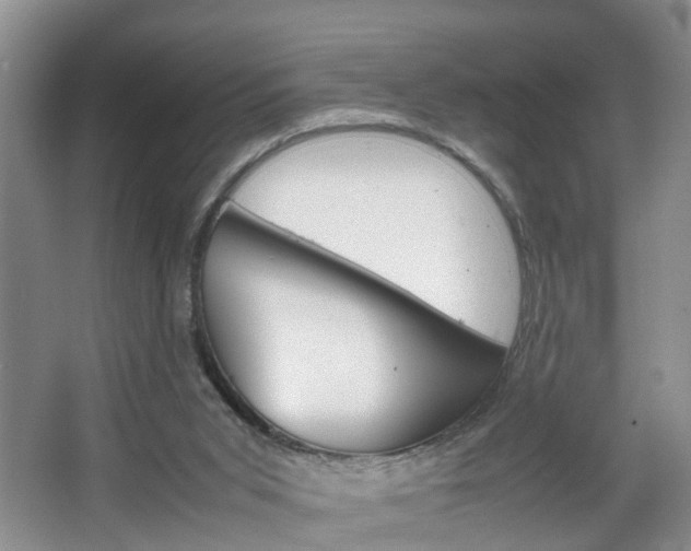 X0000067460015200604070938