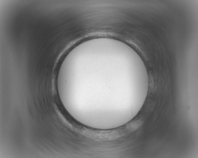 X0000067460016200604070938