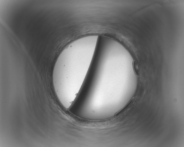 X0000067460017200604070938