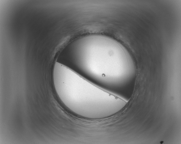 X0000067460019200604070938