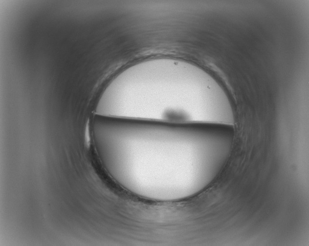 X0000067460020200604070938