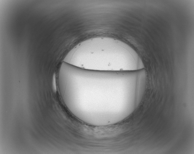 X0000067460022200604070938