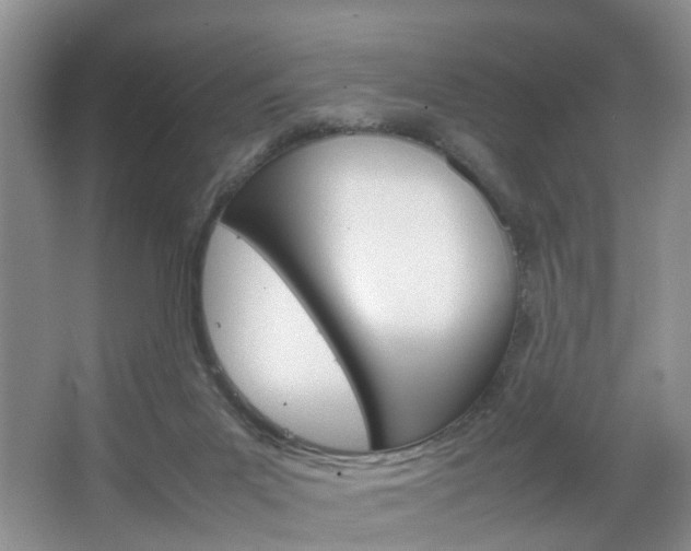 X0000067460023200604070938