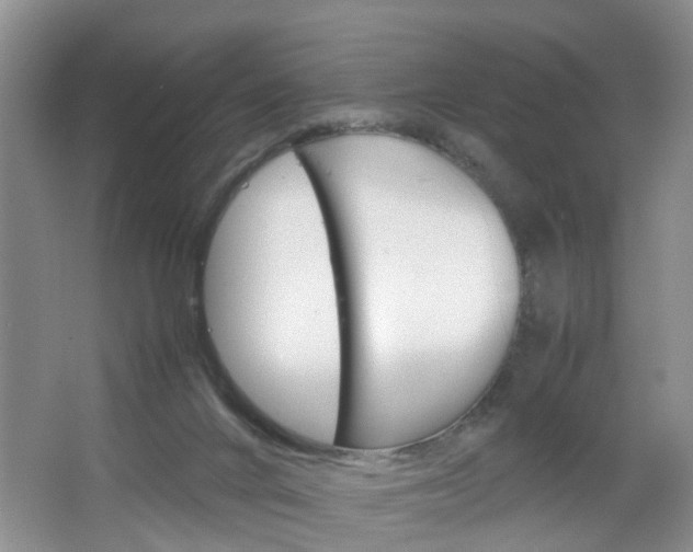 X0000067460024200604070938