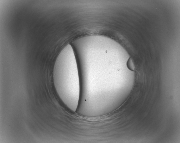 X0000067460026200604070938