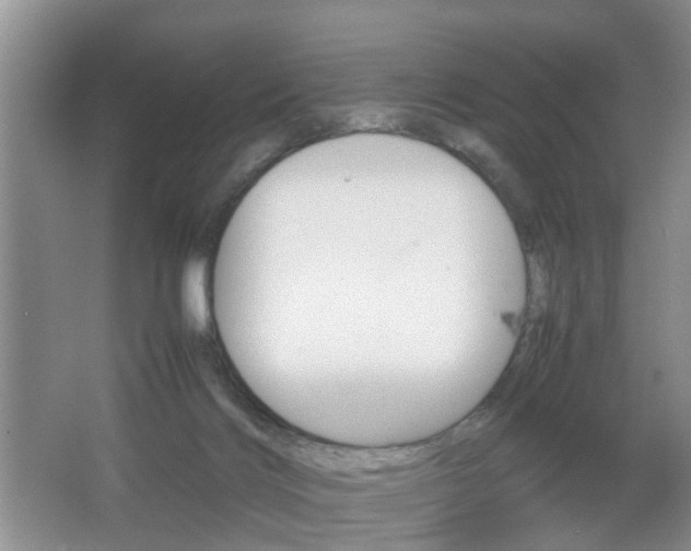 X0000067460028200604070938