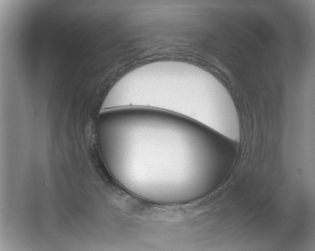 X0000067460029200604070938