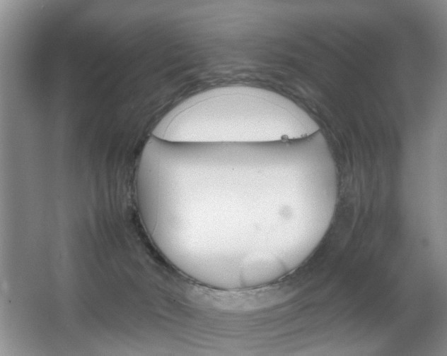 X0000067460030200604070938