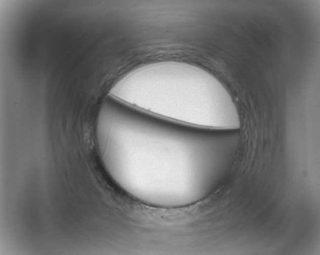 X0000067460031200604070938