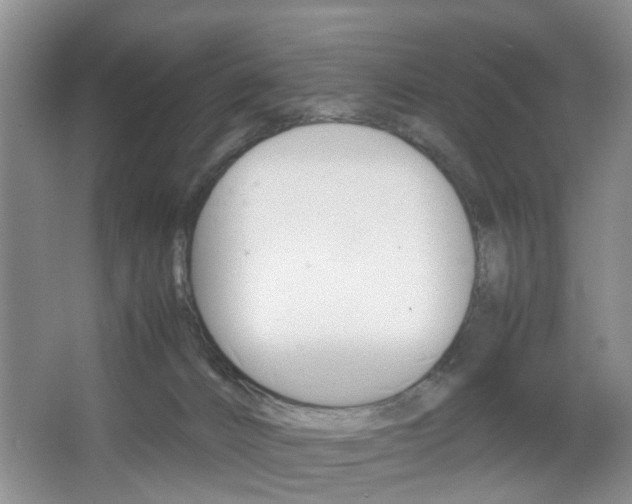 X0000067460032200604070938