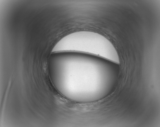 X0000067460033200604070938