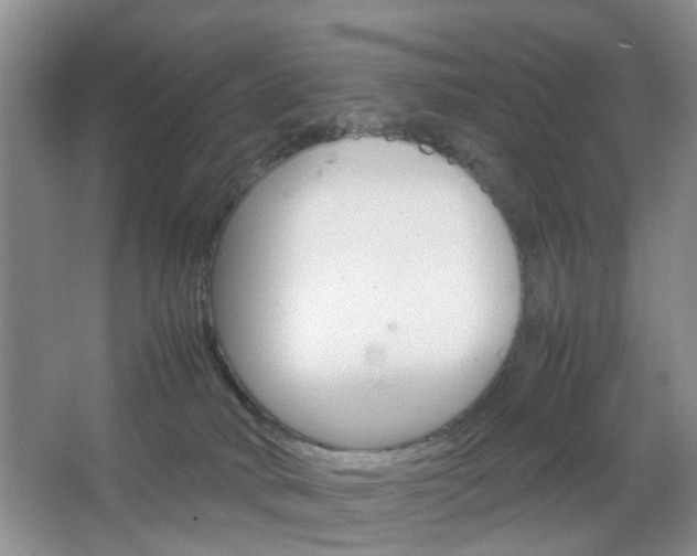 X0000067460034200604070938