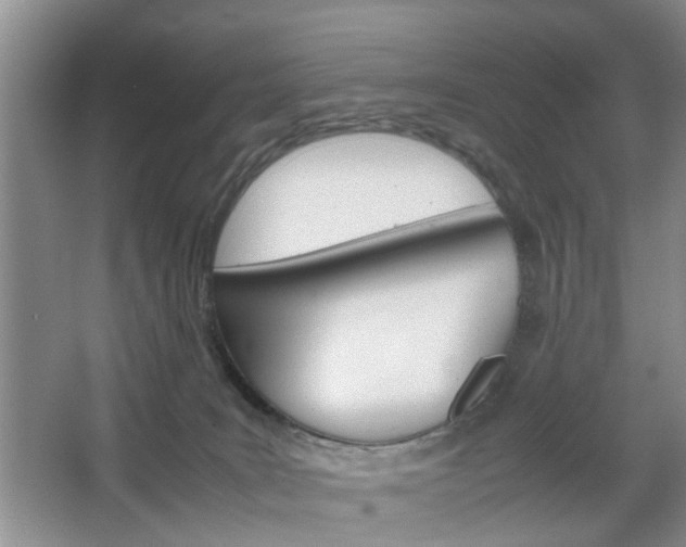 X0000067460035200604070938