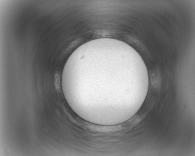 X0000067460036200604070938